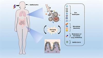 Microbiota Modulation of the Gut-Lung Axis in COVID-19